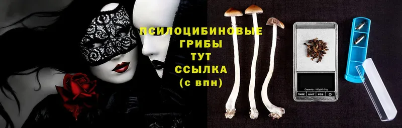 цена наркотик  mega зеркало  Галлюциногенные грибы Psilocybine cubensis  Межгорье 